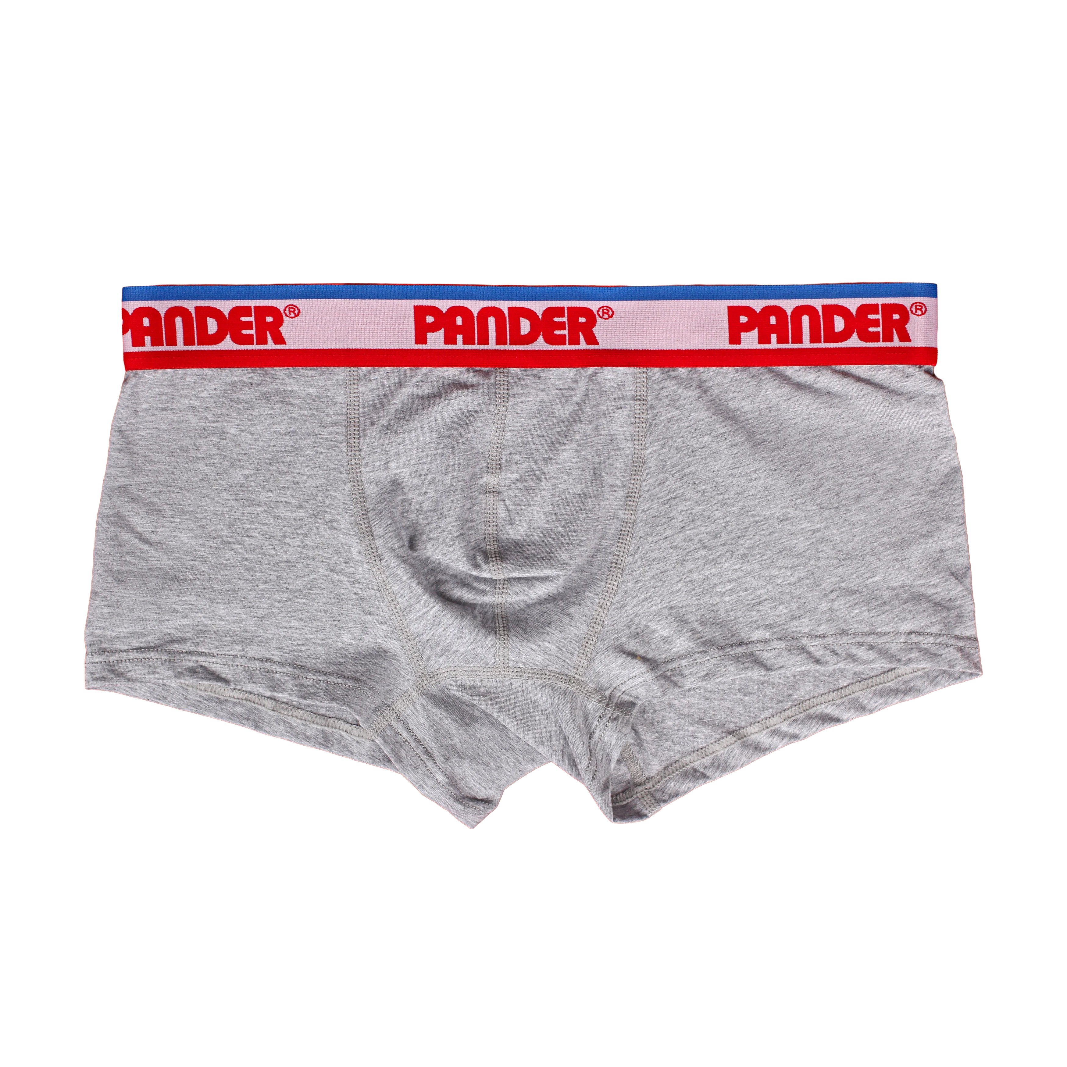 Athletic Grey Trunk - Image 5