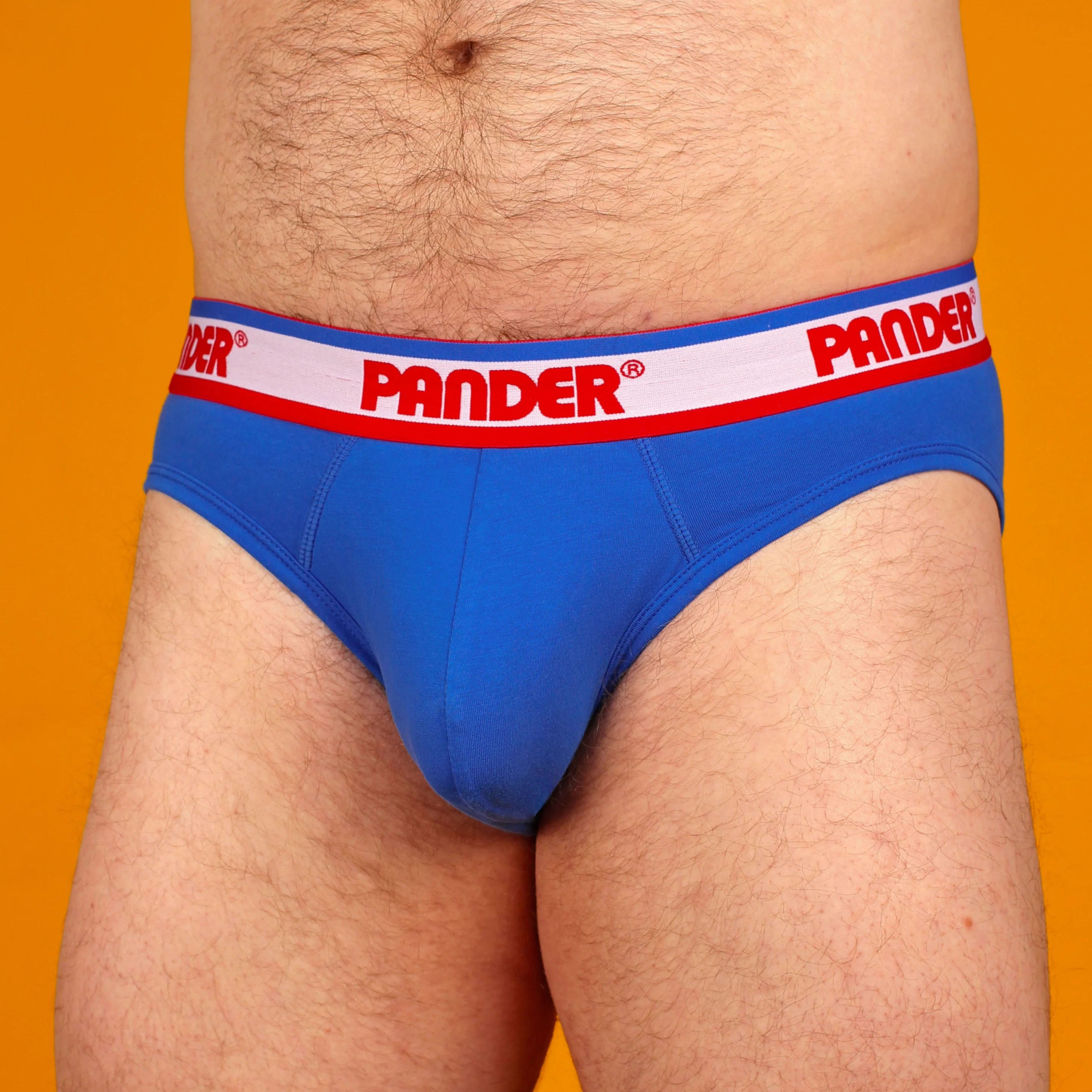 Cobalt Blue Brief - Image 3
