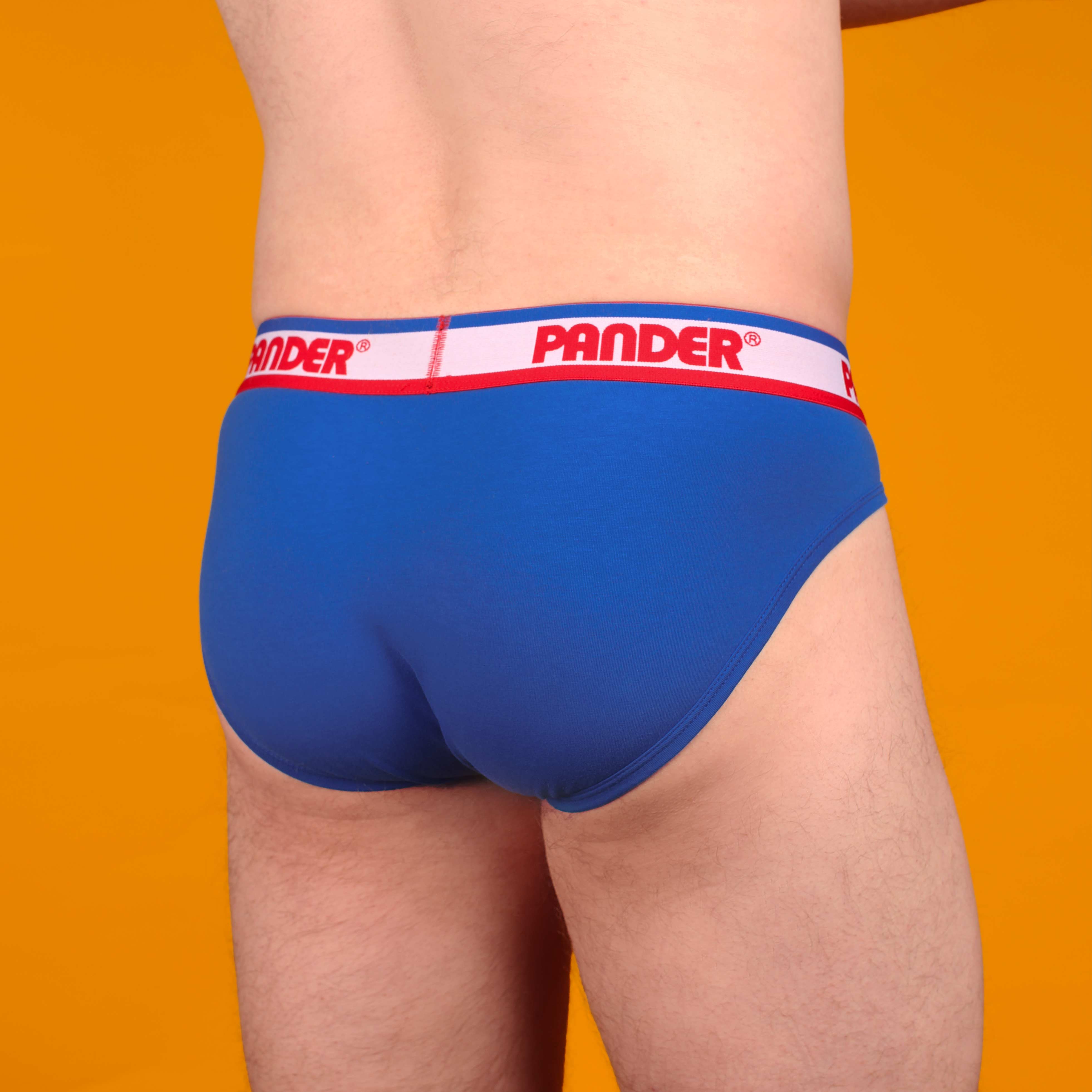 Cobalt Blue Brief - Image 4