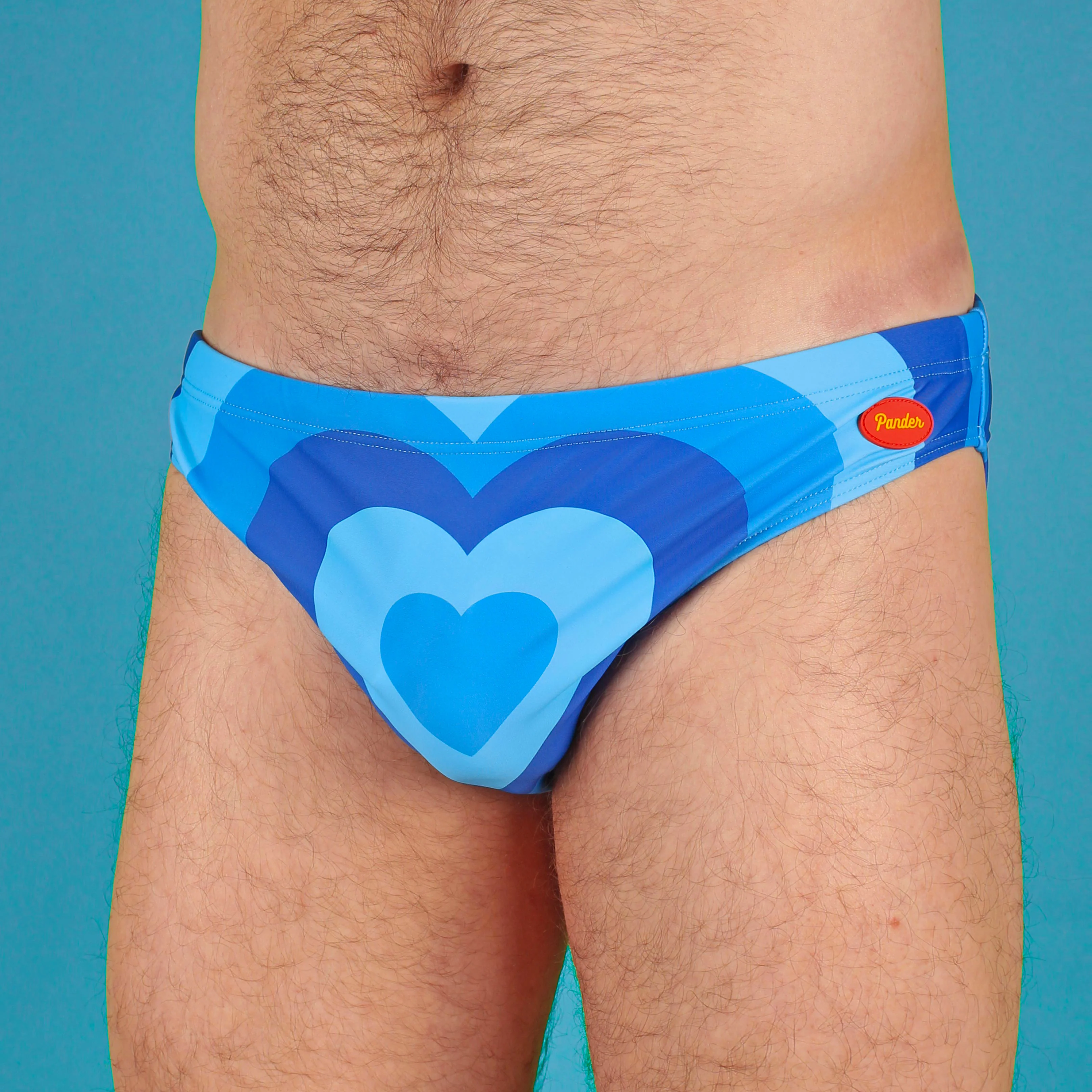 Swim Briefs
