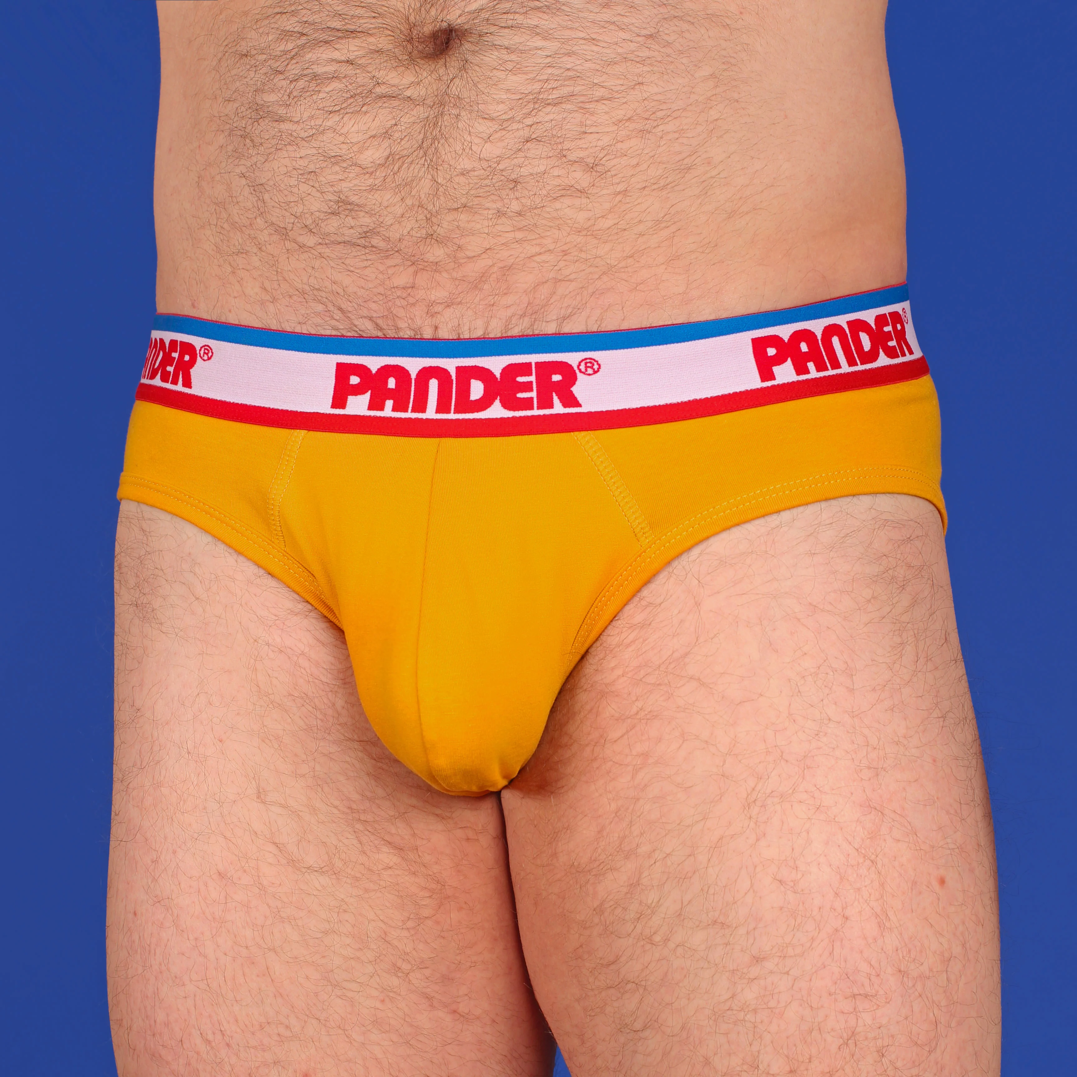 Mustard Yellow Brief - Image 3